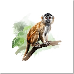 Squirrel Monkey Posters and Art